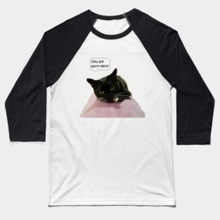 You Are Purrr-fect Baseball T-Shirt